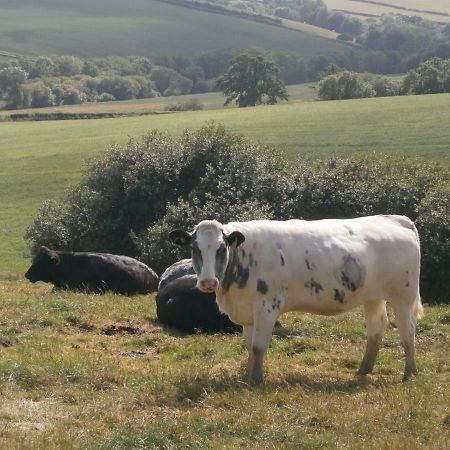 Harepath Farm Cottages 1 เอ็กซิเตอร์ ภายนอก รูปภาพ