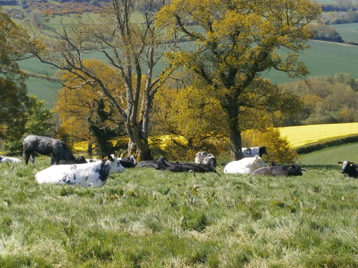 Harepath Farm Cottages 1 เอ็กซิเตอร์ ภายนอก รูปภาพ